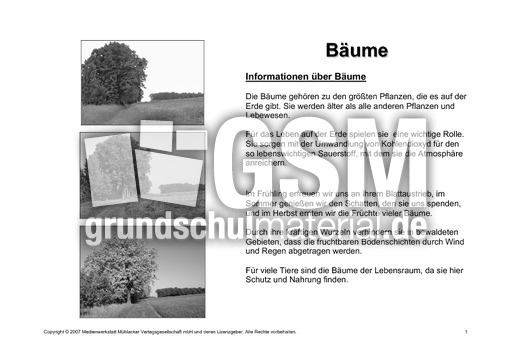 Bäume-Lesetext-SW-1.pdf